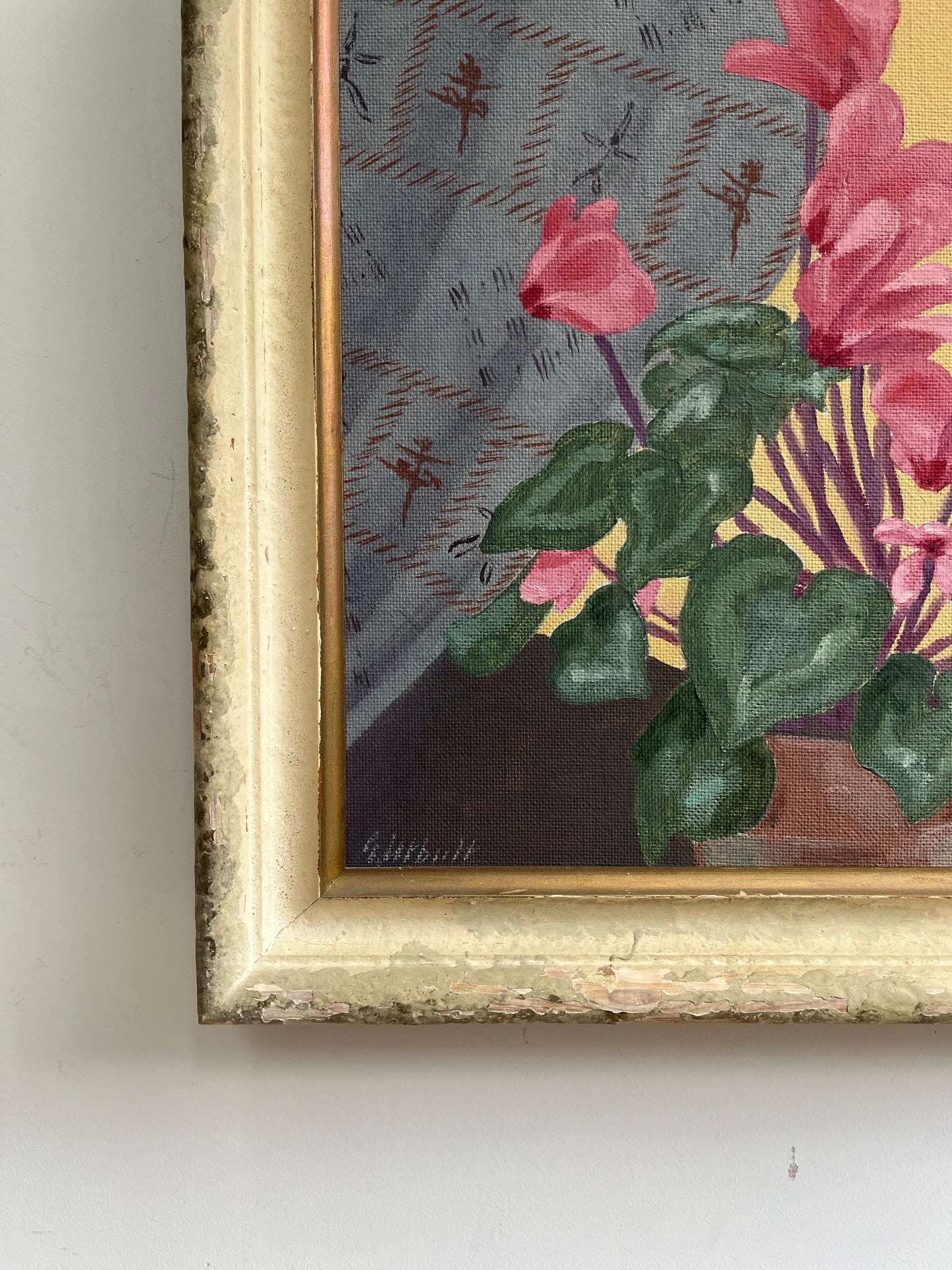 Blue curtain and Cyclamen