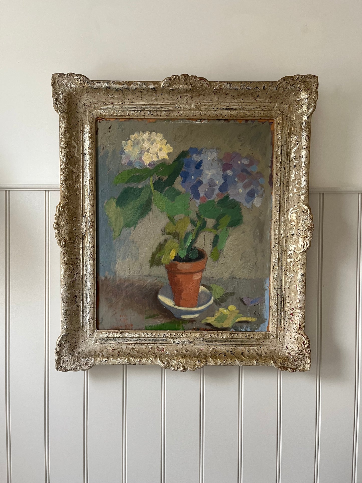 Blue and white hydrangeas