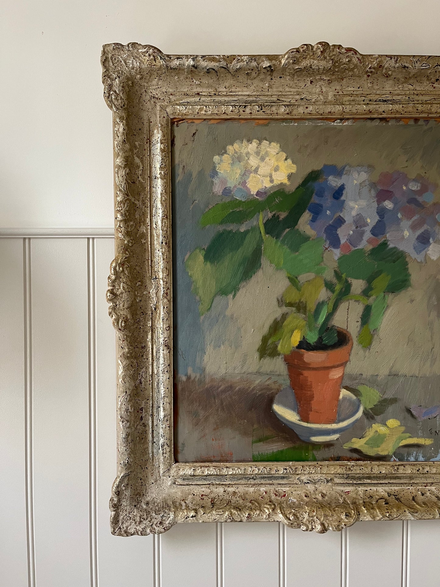 Blue and white hydrangeas