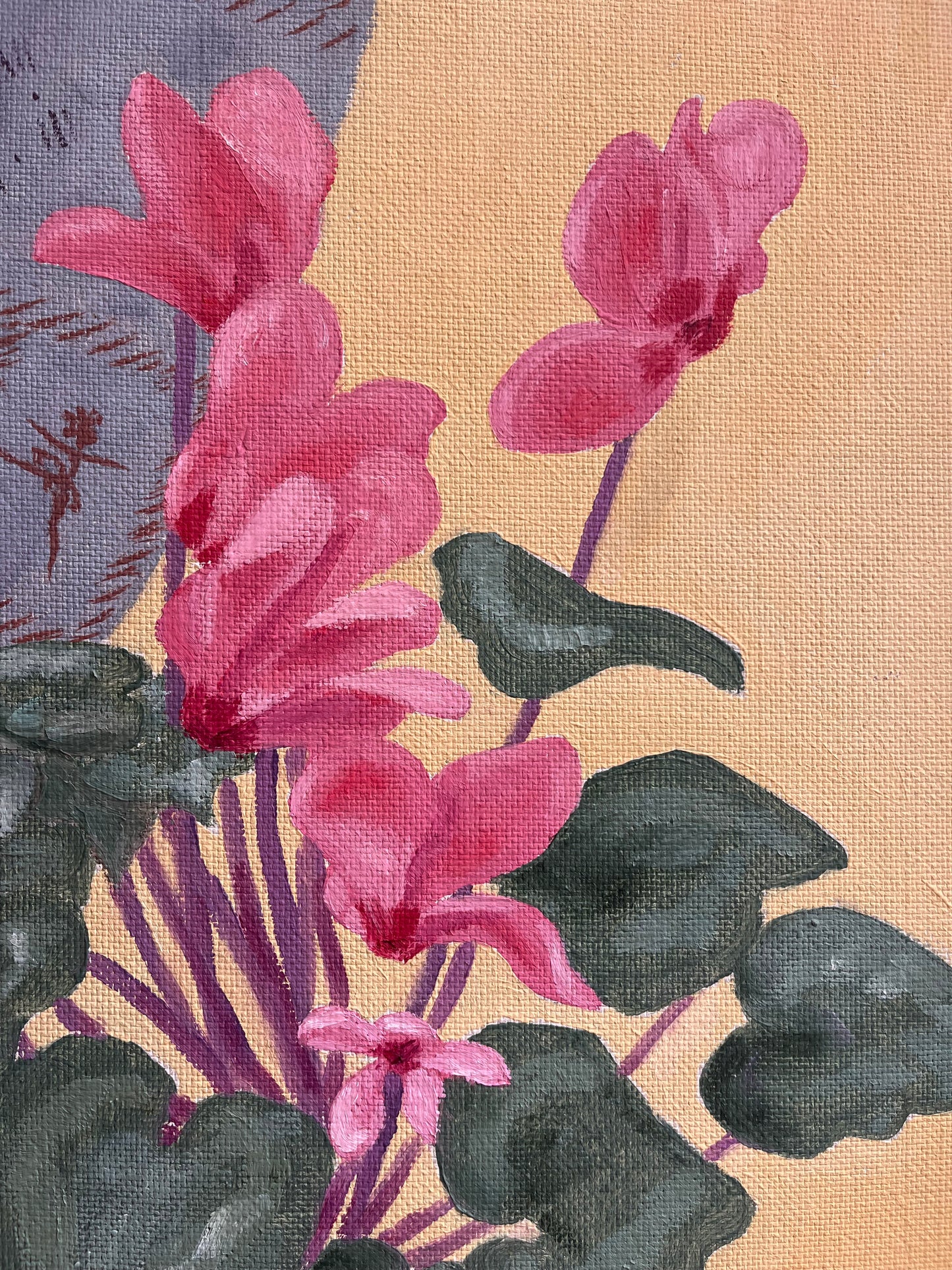 Blue curtain and Cyclamen