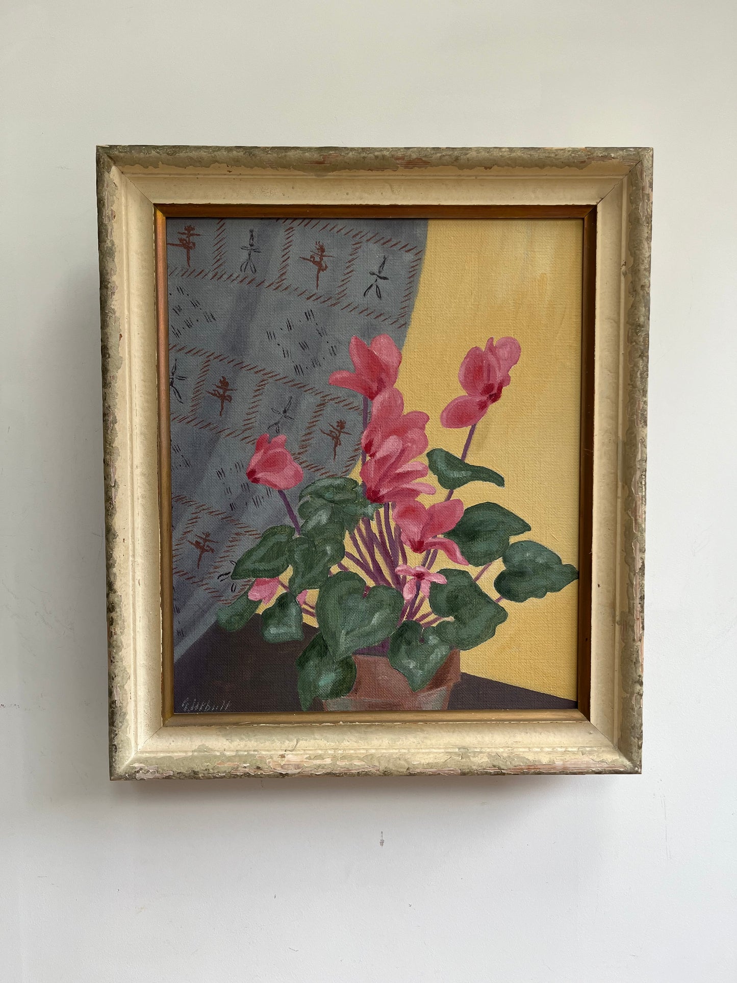 Blue curtain and Cyclamen