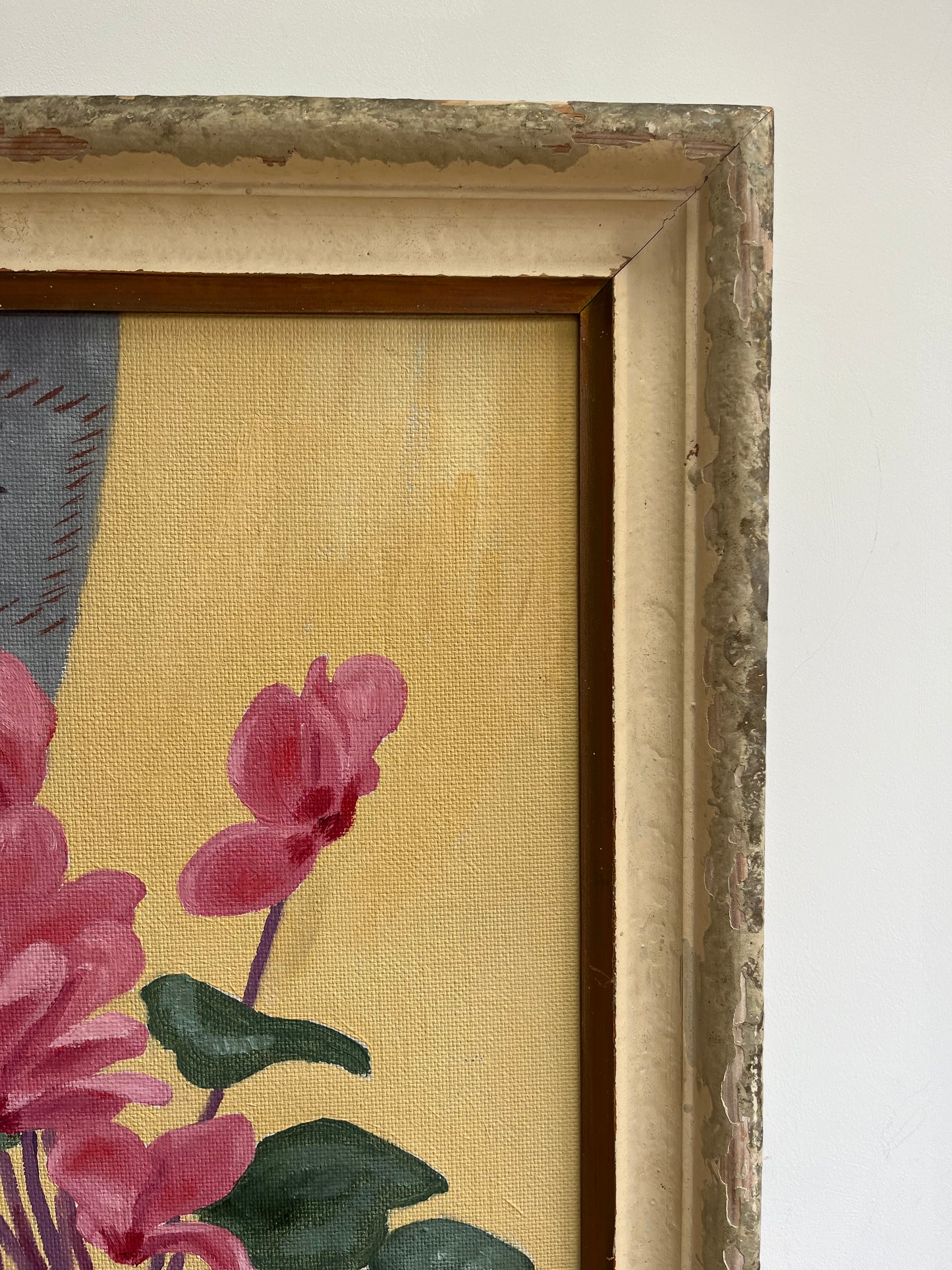 Blue curtain and Cyclamen