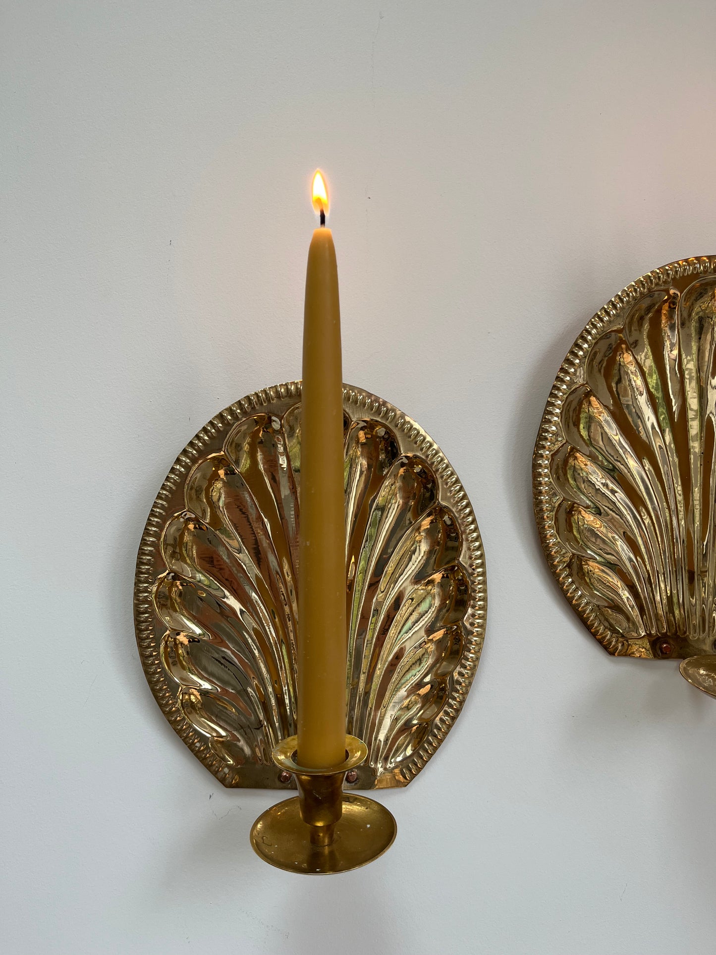 Pair of shell sconces