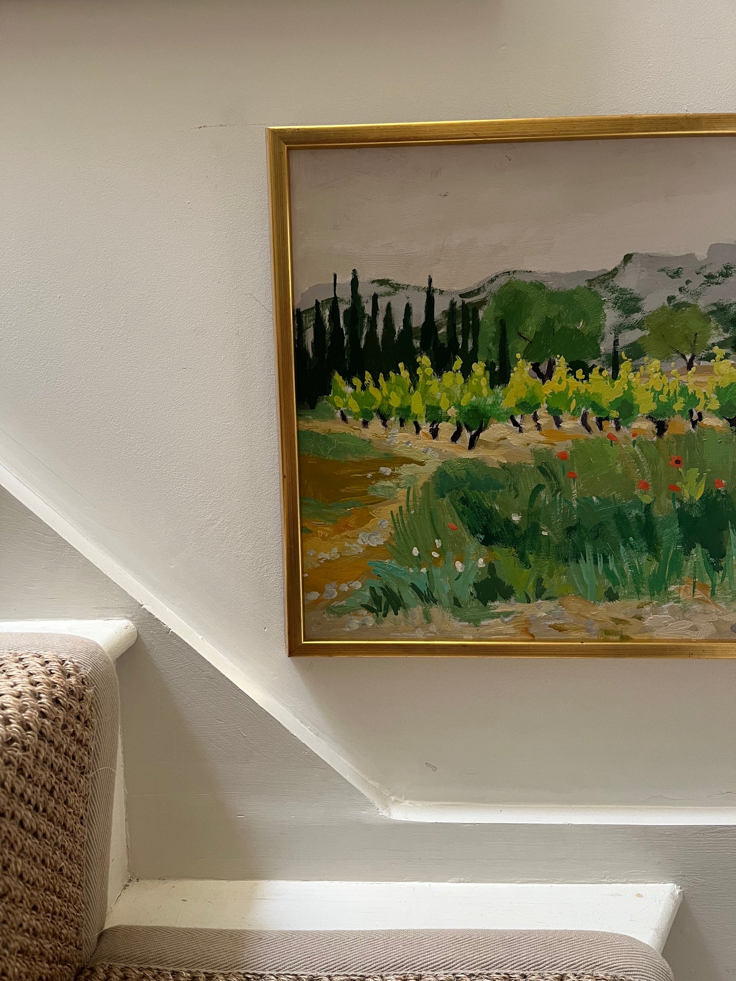 Vineyard and poppies