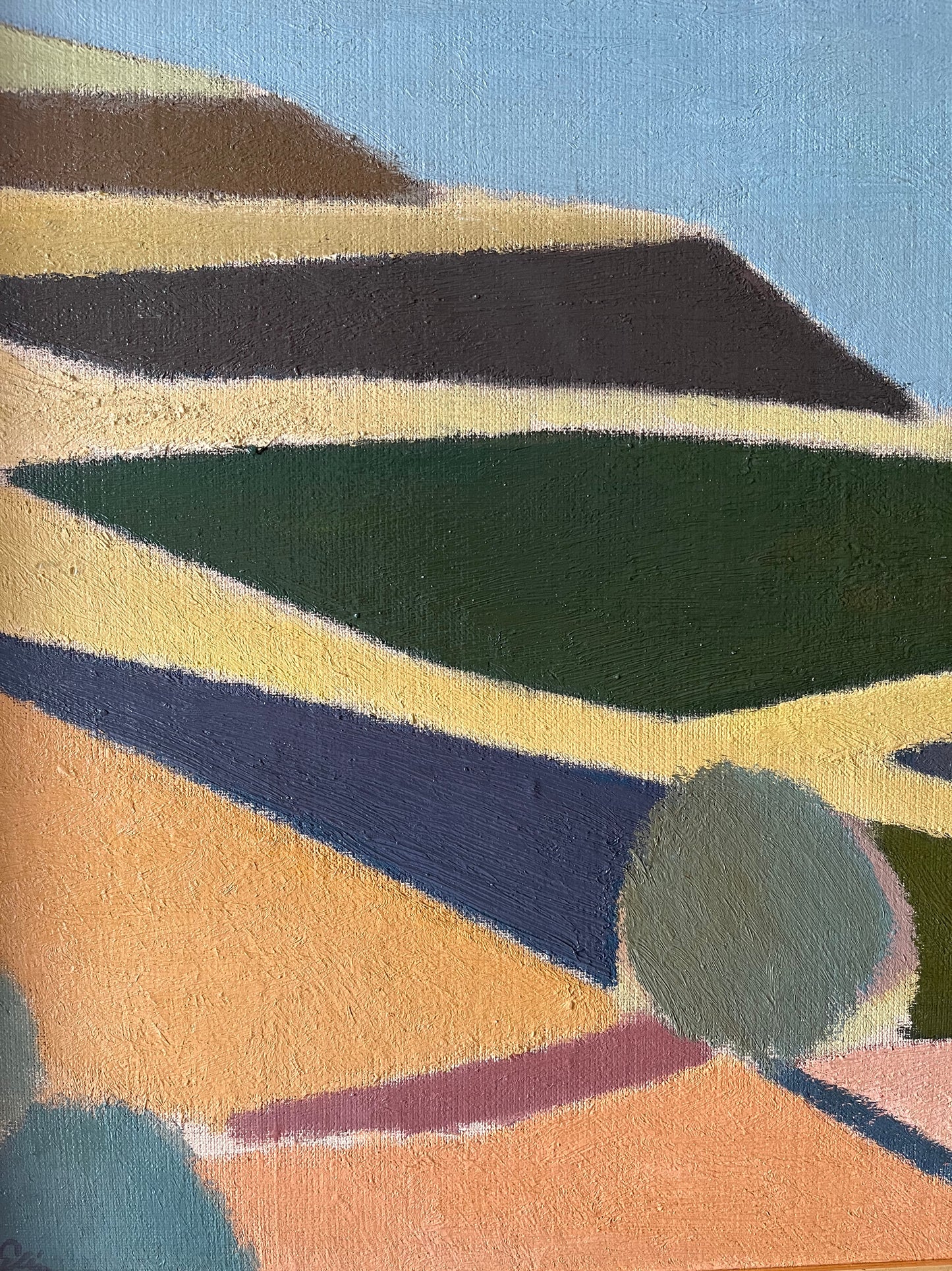 Mediterranean fields