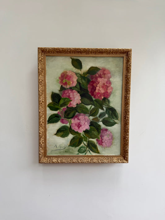 Pink hydrangea