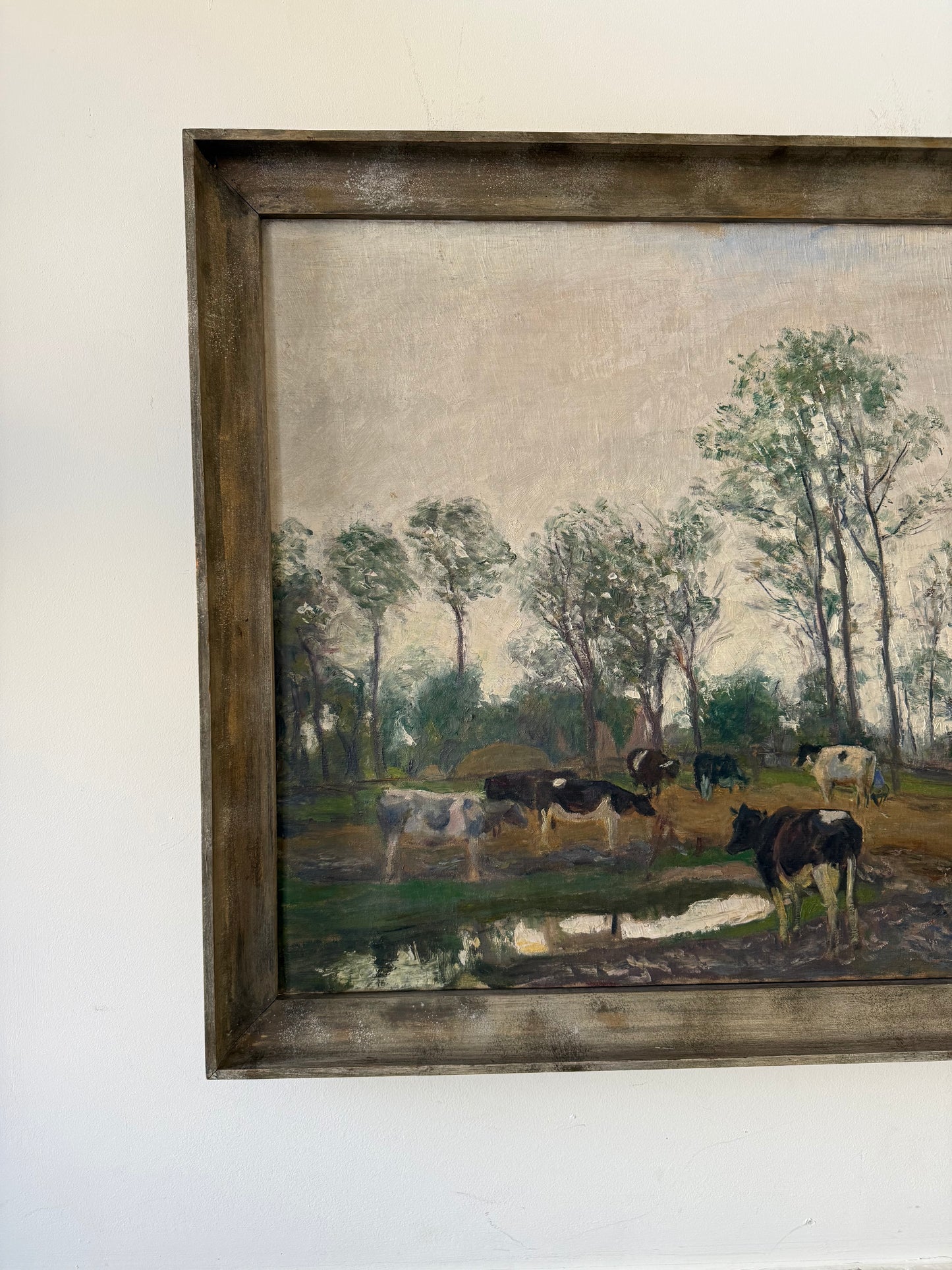 Cows in the pasture