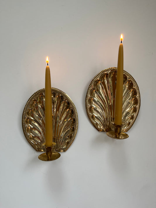 Pair of shell sconces